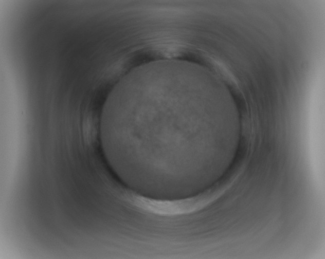 X0000113880030200909241401