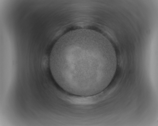 X0000113880036200909241401