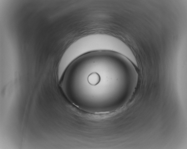 X0000113880037200909241401