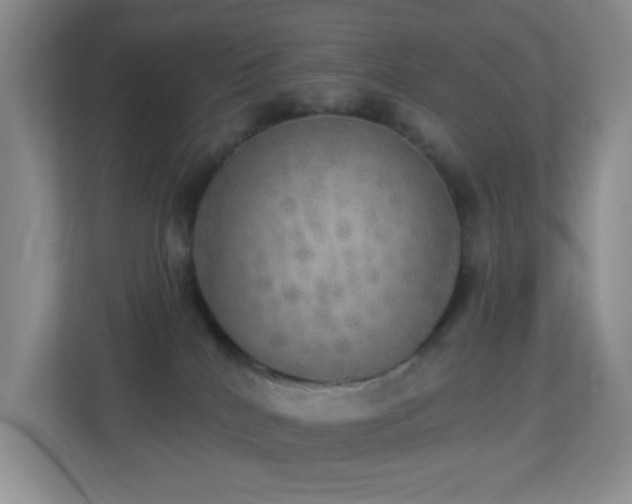 X0000113880040200909241401