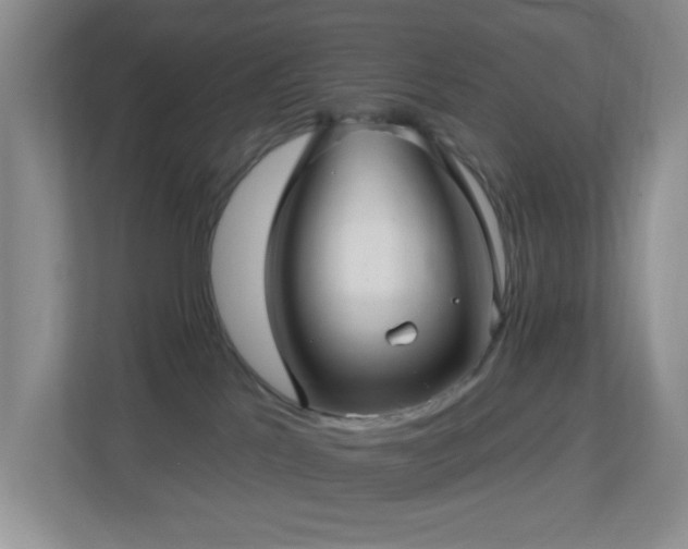 X0000113880041200909241401