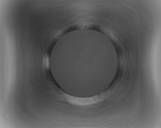 X0000113880042200909241401