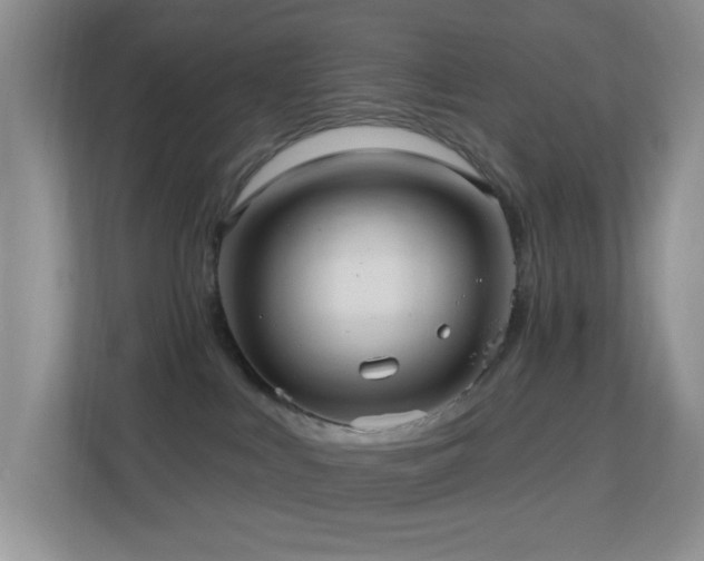 X0000113880043200909241401