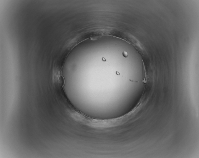 X0000113880045200909241401