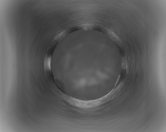 X0000113880047200909241401