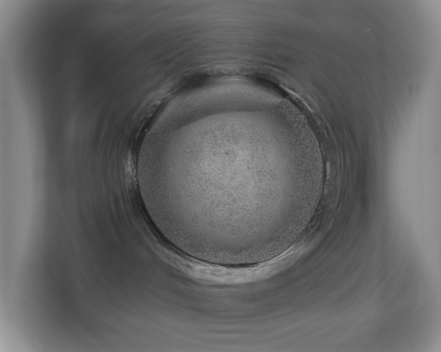 X0000113880048200909241401