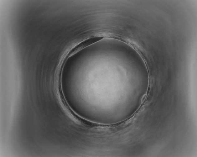 X0000113880049200909241401