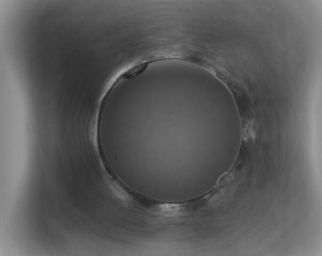 X0000113880052200909241401