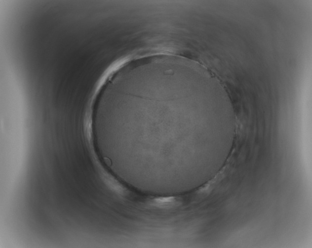 X0000113880054200909241401
