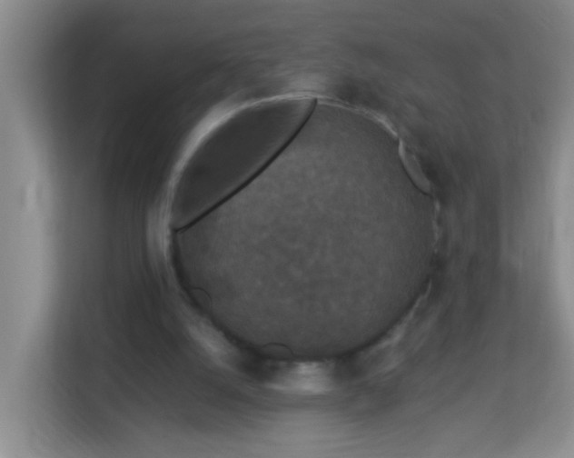X0000113880056200909241401