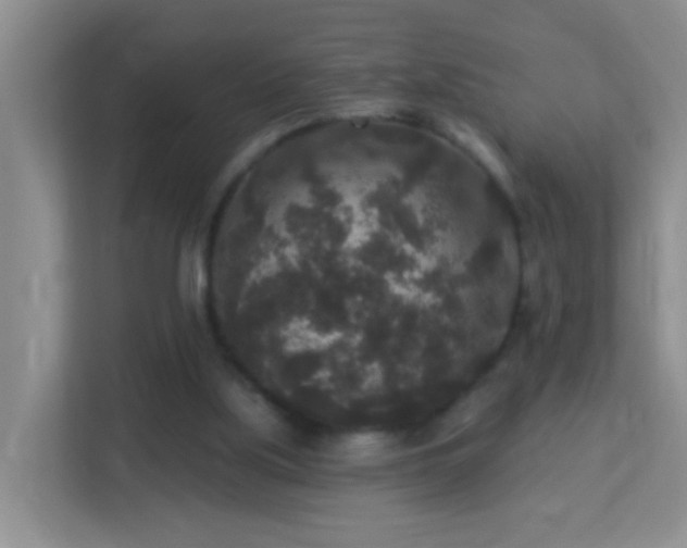 X0000113880059200909241401