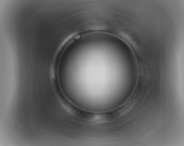 X0000113880060200909241401