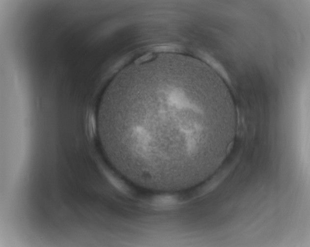 X0000113880061200909241401