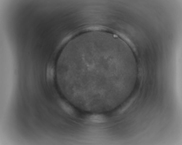 X0000113880063200909241401