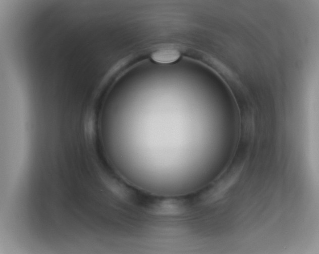 X0000113880064200909241401