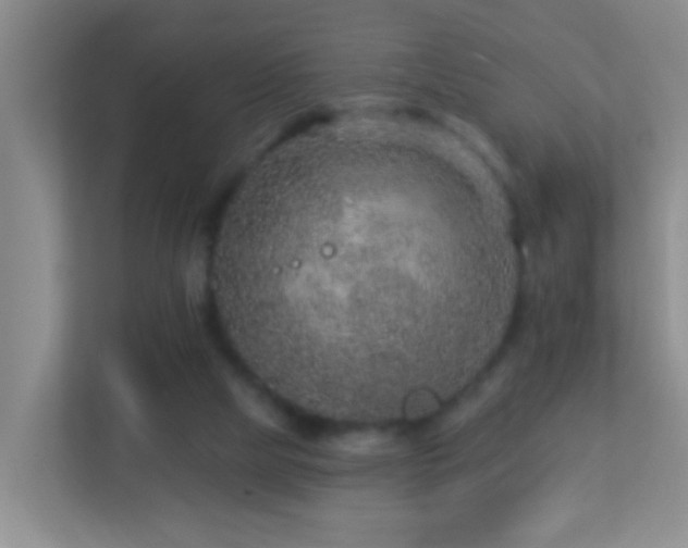 X0000113880065200909241401