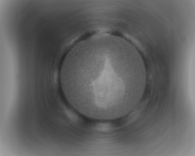 X0000113880066200909241401