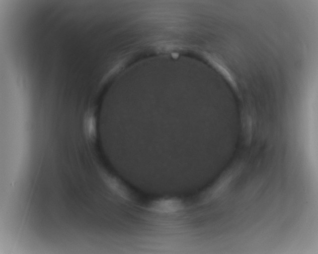 X0000113880067200909241401