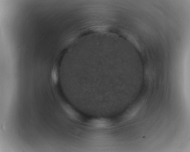 X0000113880069200909241401