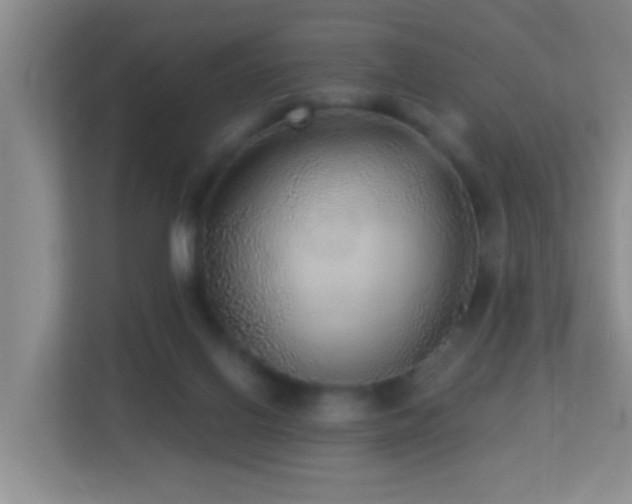 X0000113880070200909241401