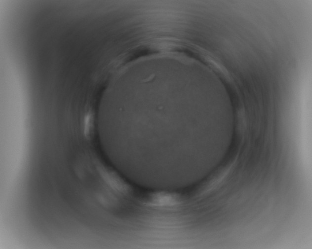 X0000113880073200909241401