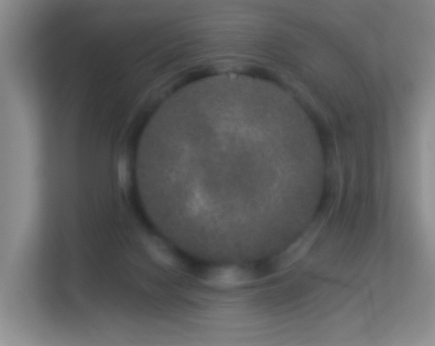 X0000113880074200909241401