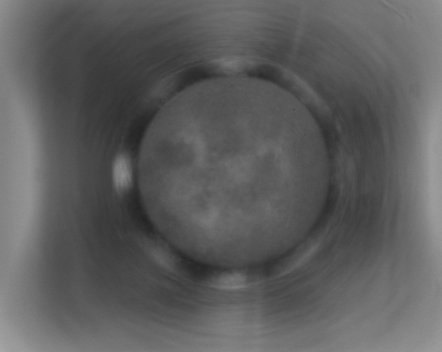 X0000113880075200909241401