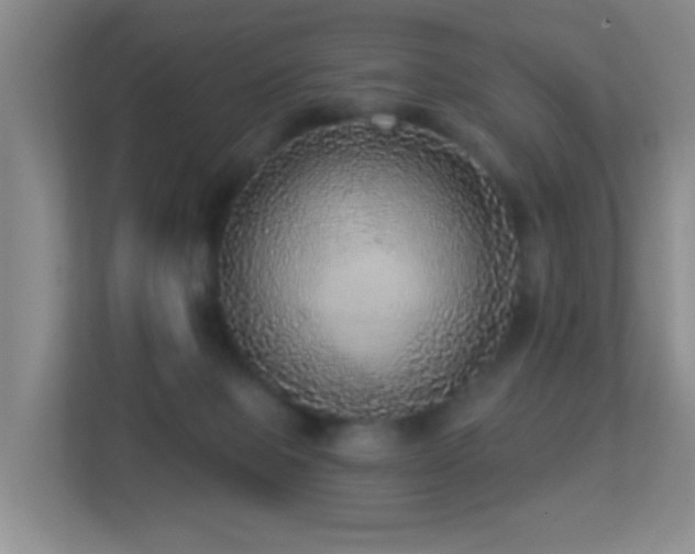 X0000113880077200909241401
