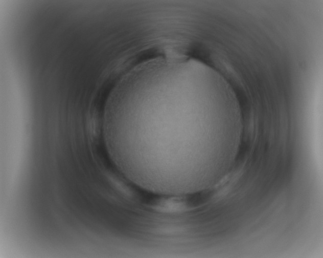 X0000113880078200909241401
