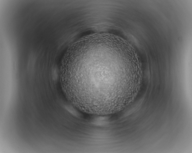 X0000113880081200909241401