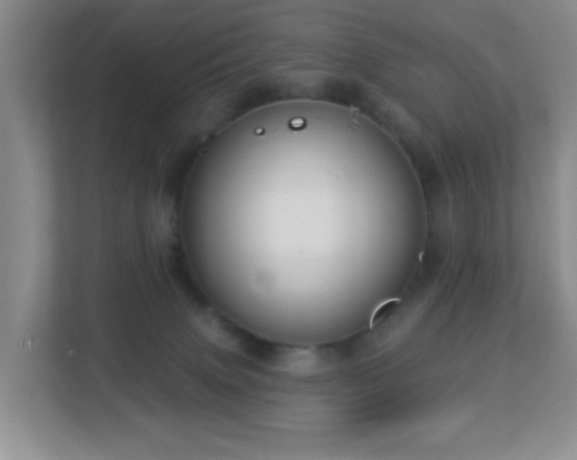 X0000113880083200909241401