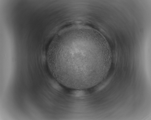 X0000113880085200909241401