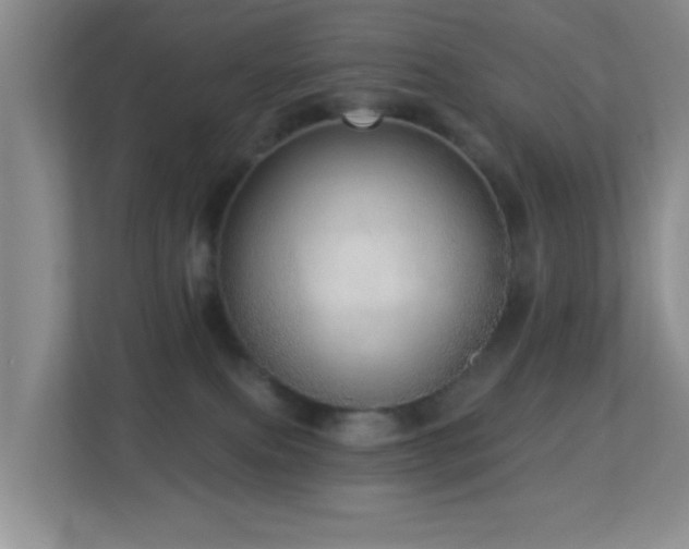 X0000113880087200909241401