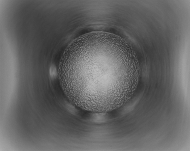 X0000113880089200909241401