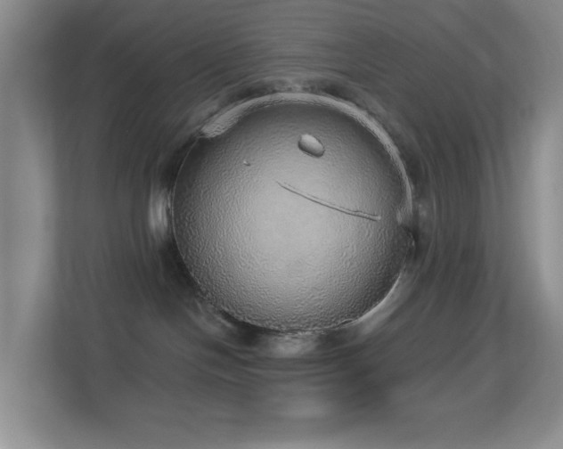 X0000113880094200909241401
