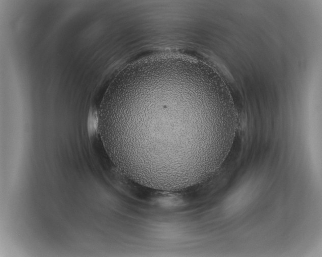 X0000113880095200909241401