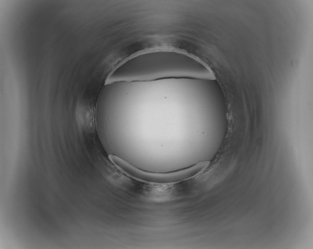 X0000113880096200909241401