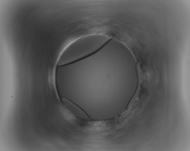 X0000113880100200909241400