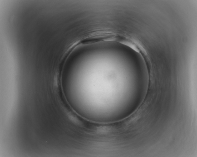 X0000113880105200909241400