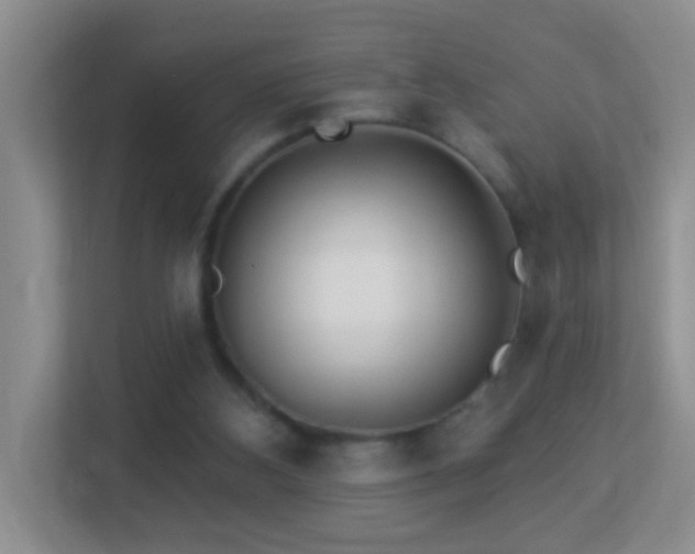 X0000113880108200909241400