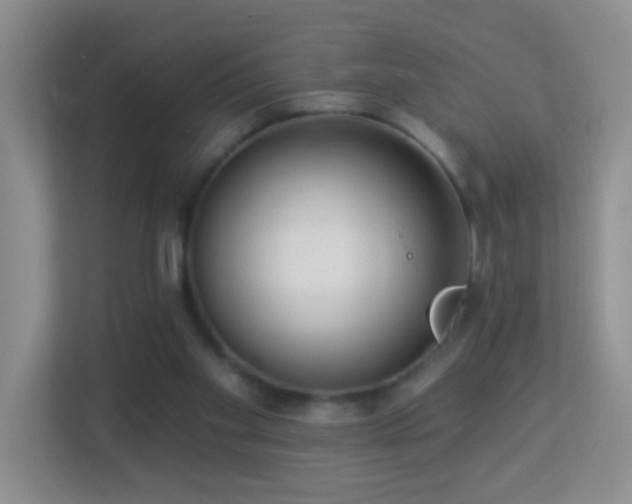 X0000113880109200909241400