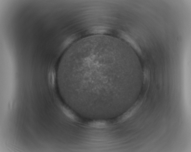 X0000113880110200909241400