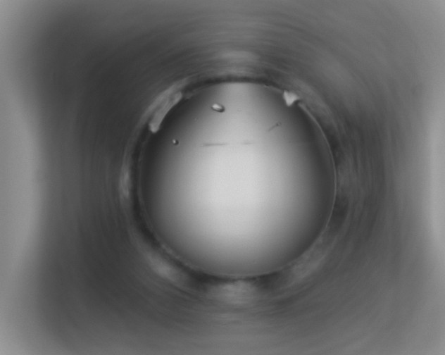 X0000113880112200909241400