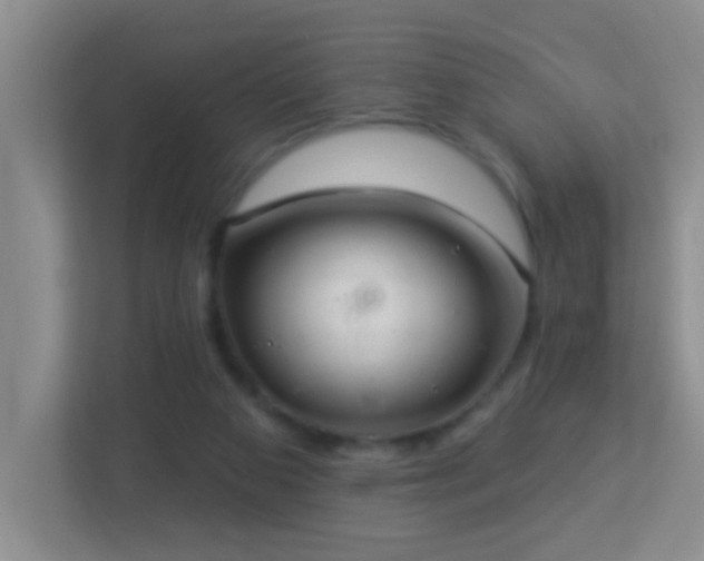 X0000113880113200909241400