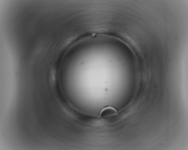 X0000113880115200909241400