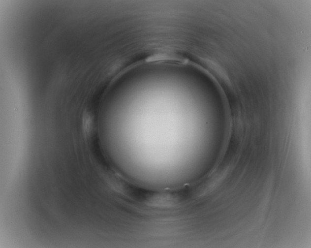 X0000113880123200909241400