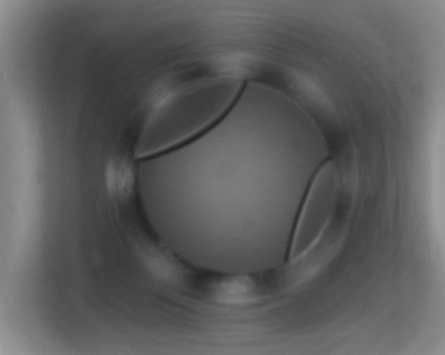 X0000113880124200909241400