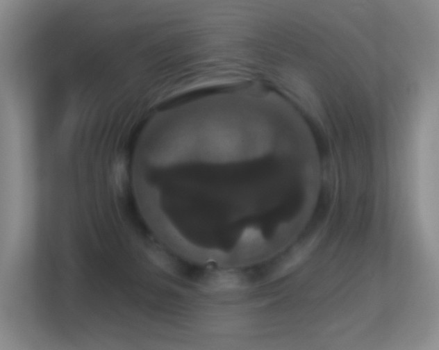 X0000113880127200909241400