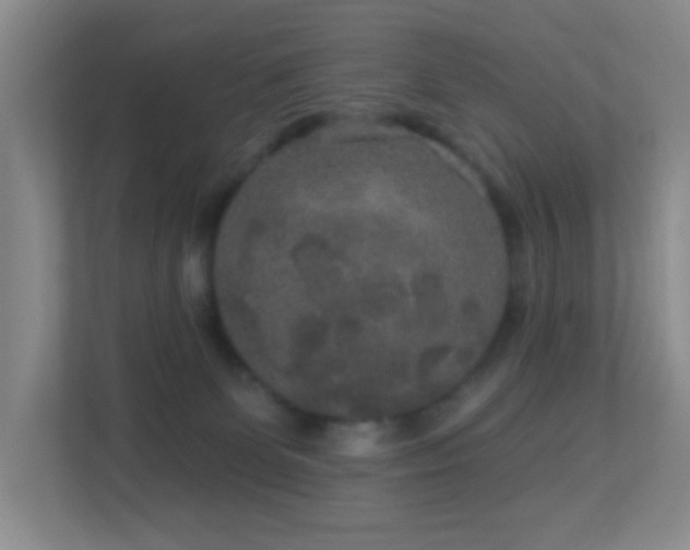 X0000113880131200909241400