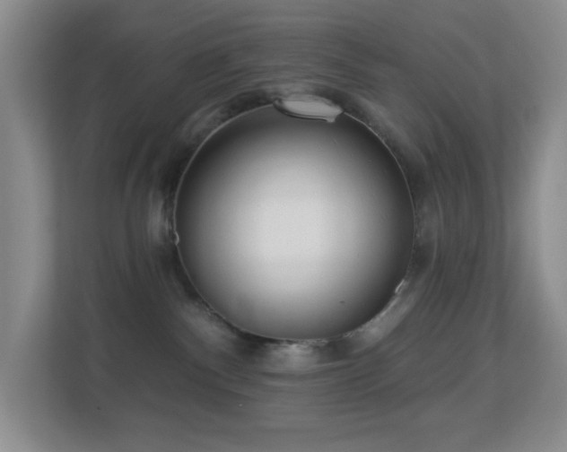 X0000113880140200909241400